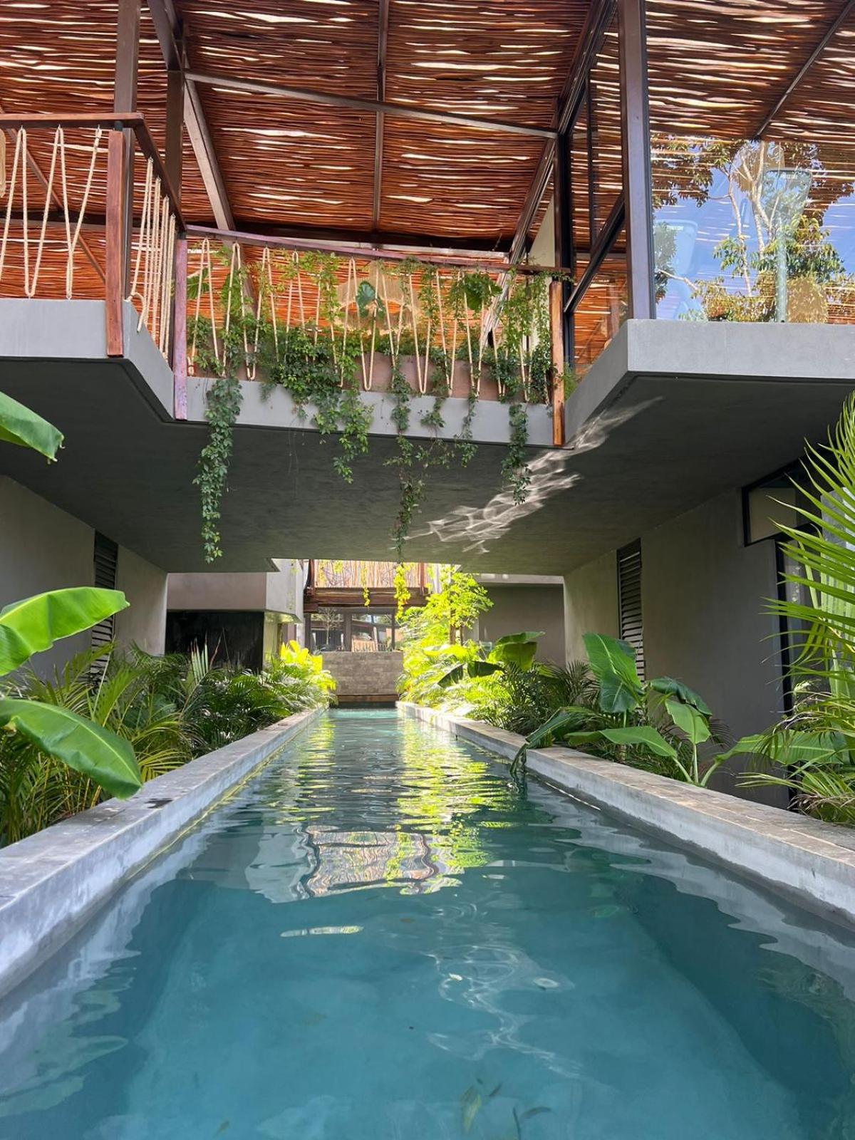Jungle Luxury Romantic Beach Club private pool, foto 10