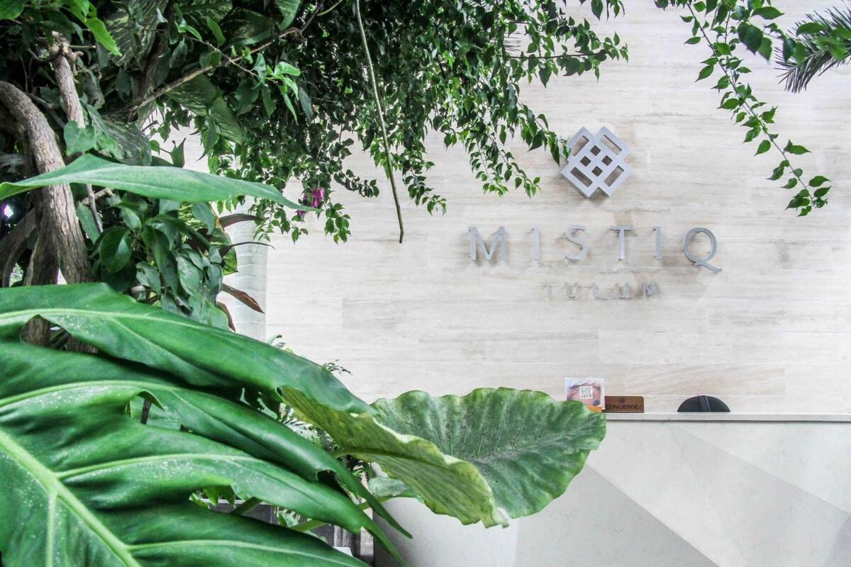 Luxurious PH Private pool BeachClub MistiqTulum, foto 9