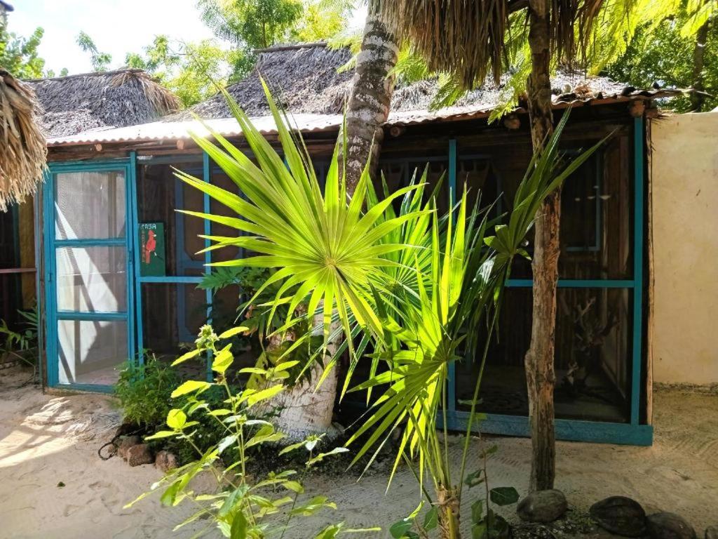 Casa Jade Ecobungalows Las coloradas, foto 13