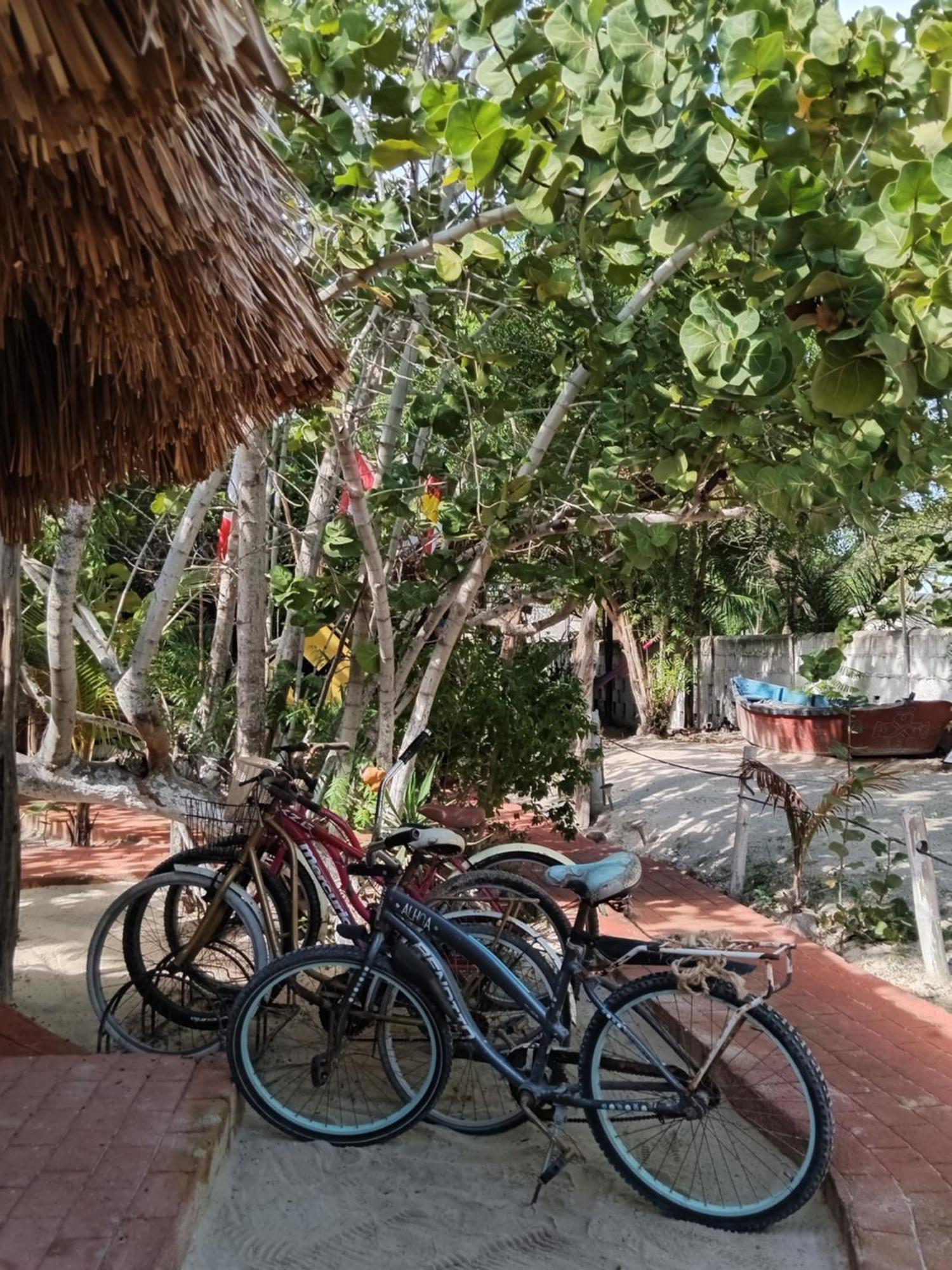 Casa Jade Ecobungalows Las coloradas, foto 12