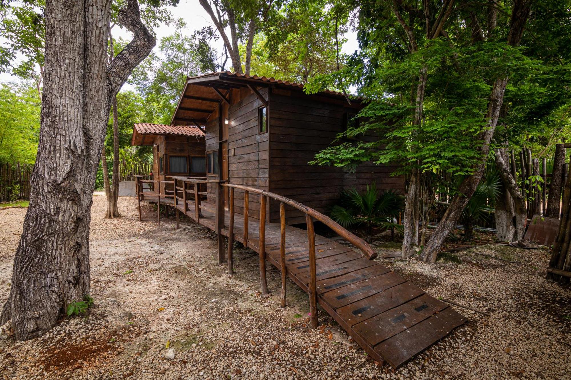 Glamping Solferino-Holbox Coast, imagen 3