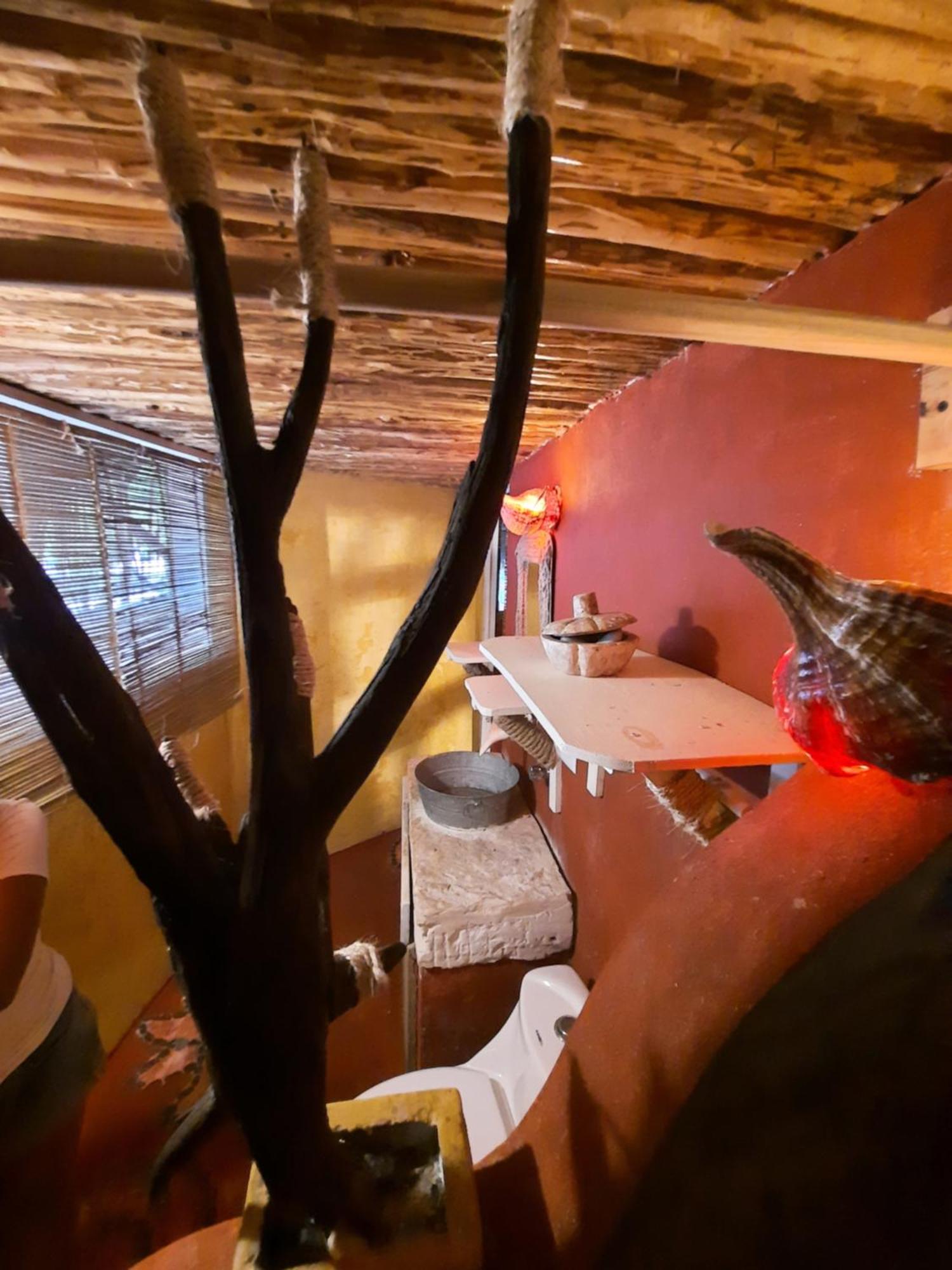 Casa Jade Ecobungalows Las coloradas, imagen 5