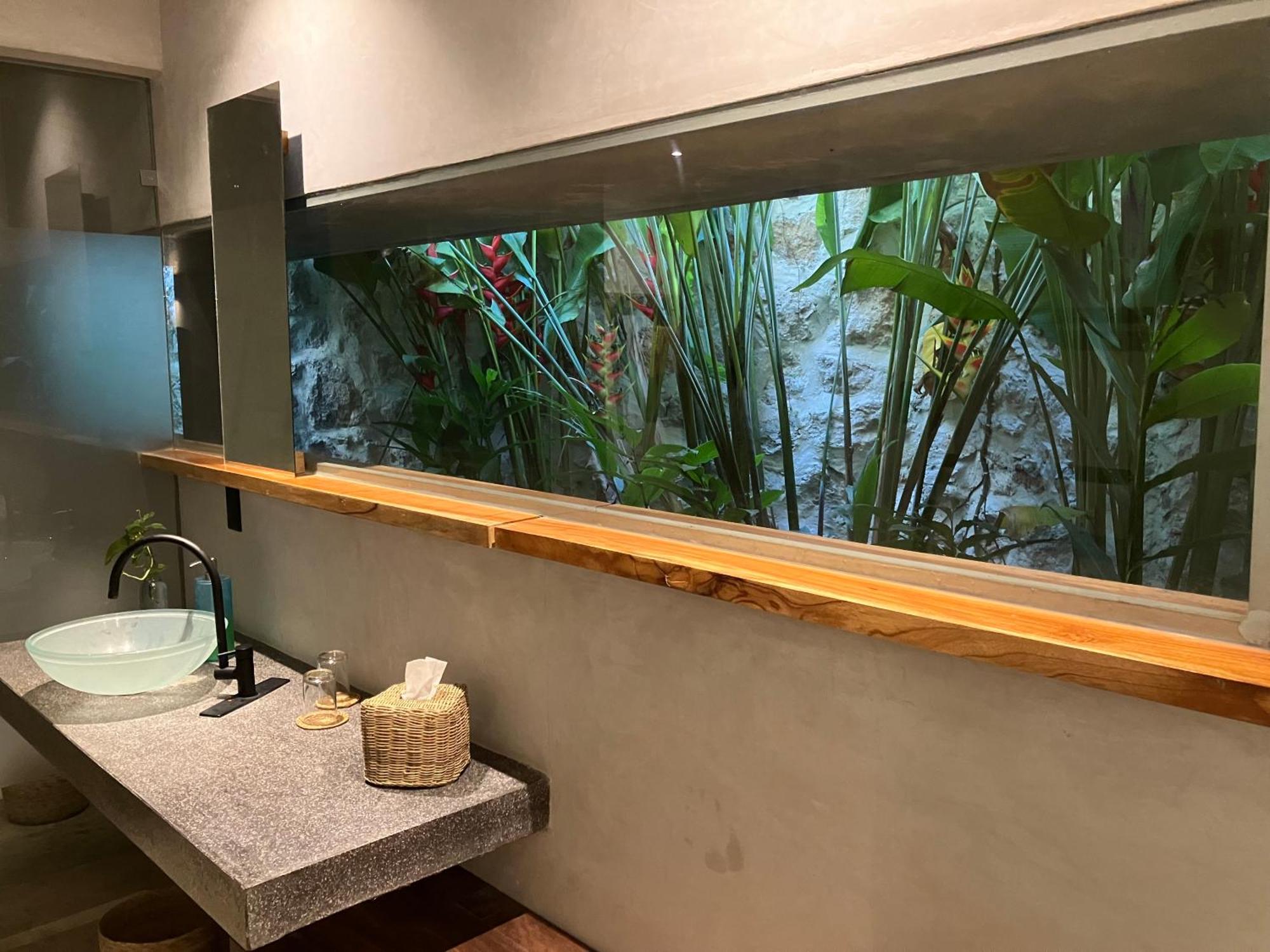 Basico Pixoy Hotel, foto 15