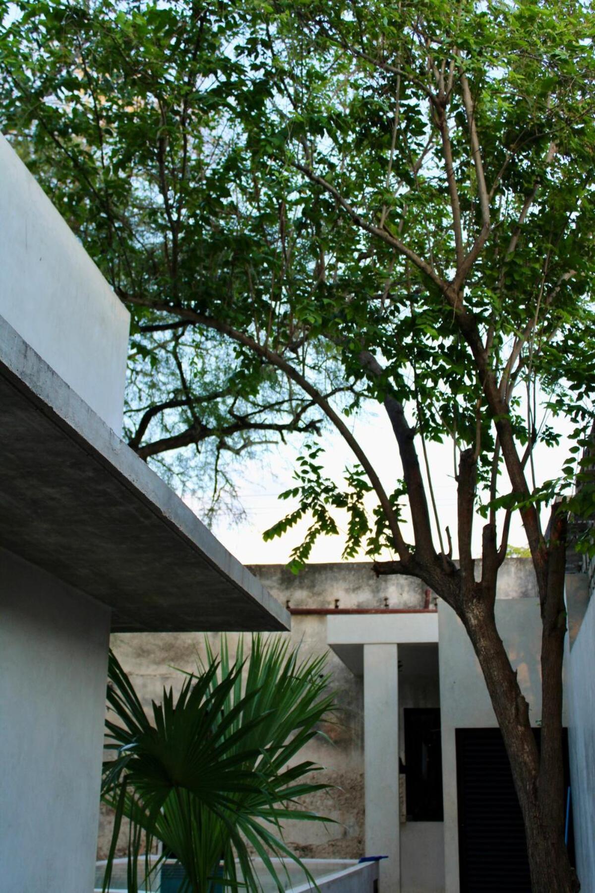 CASA TAMA in La Ermita, Mérida Center with pool, foto 15