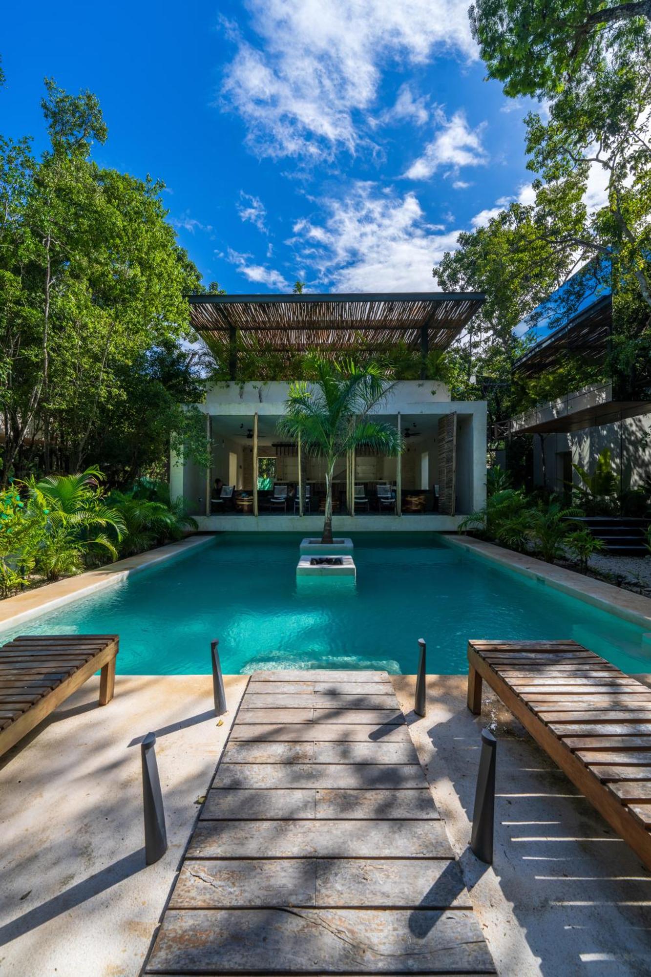 Chay Glass Jungle House, imagen 2