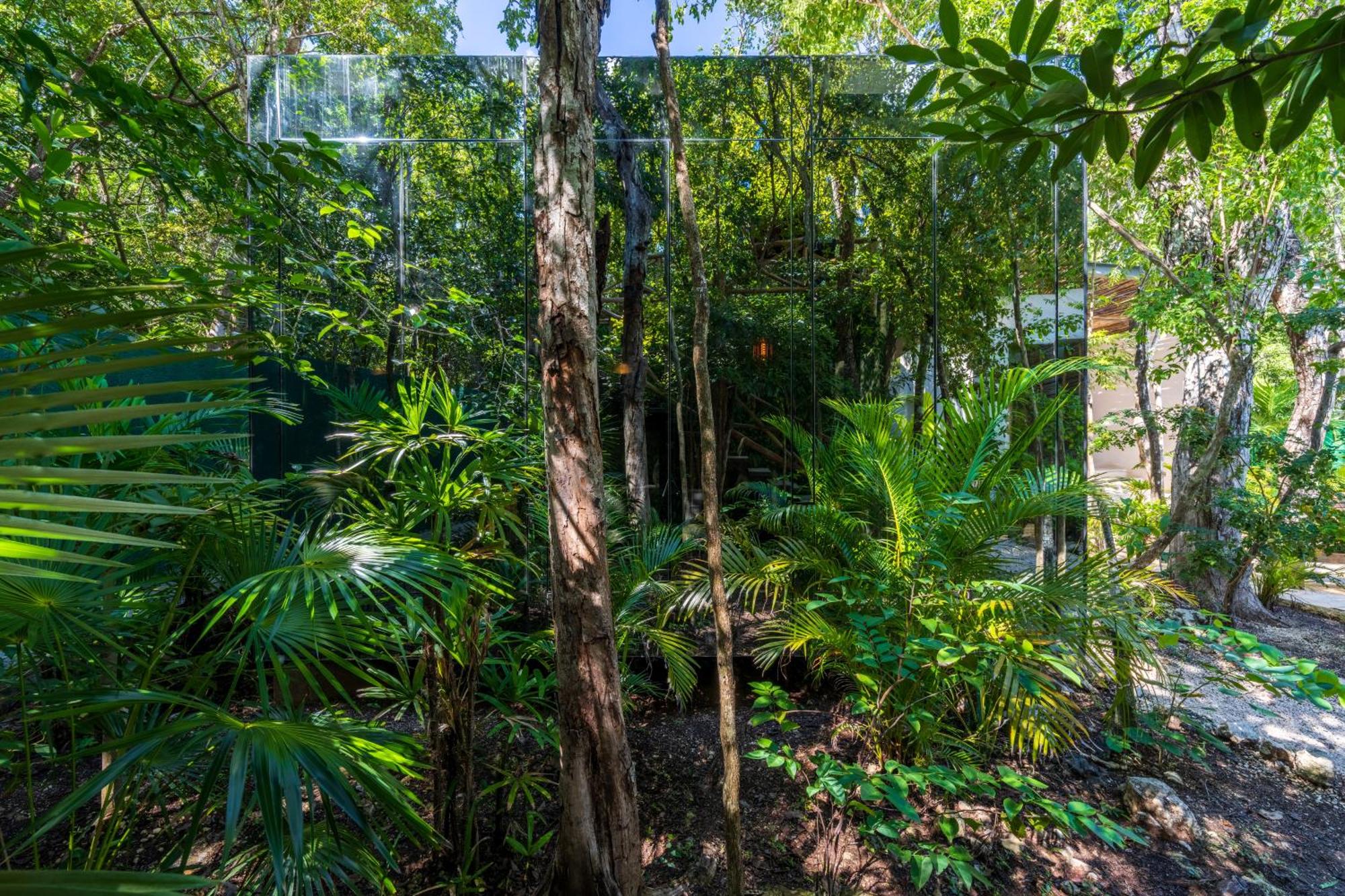 Chay Glass Jungle House, foto 14
