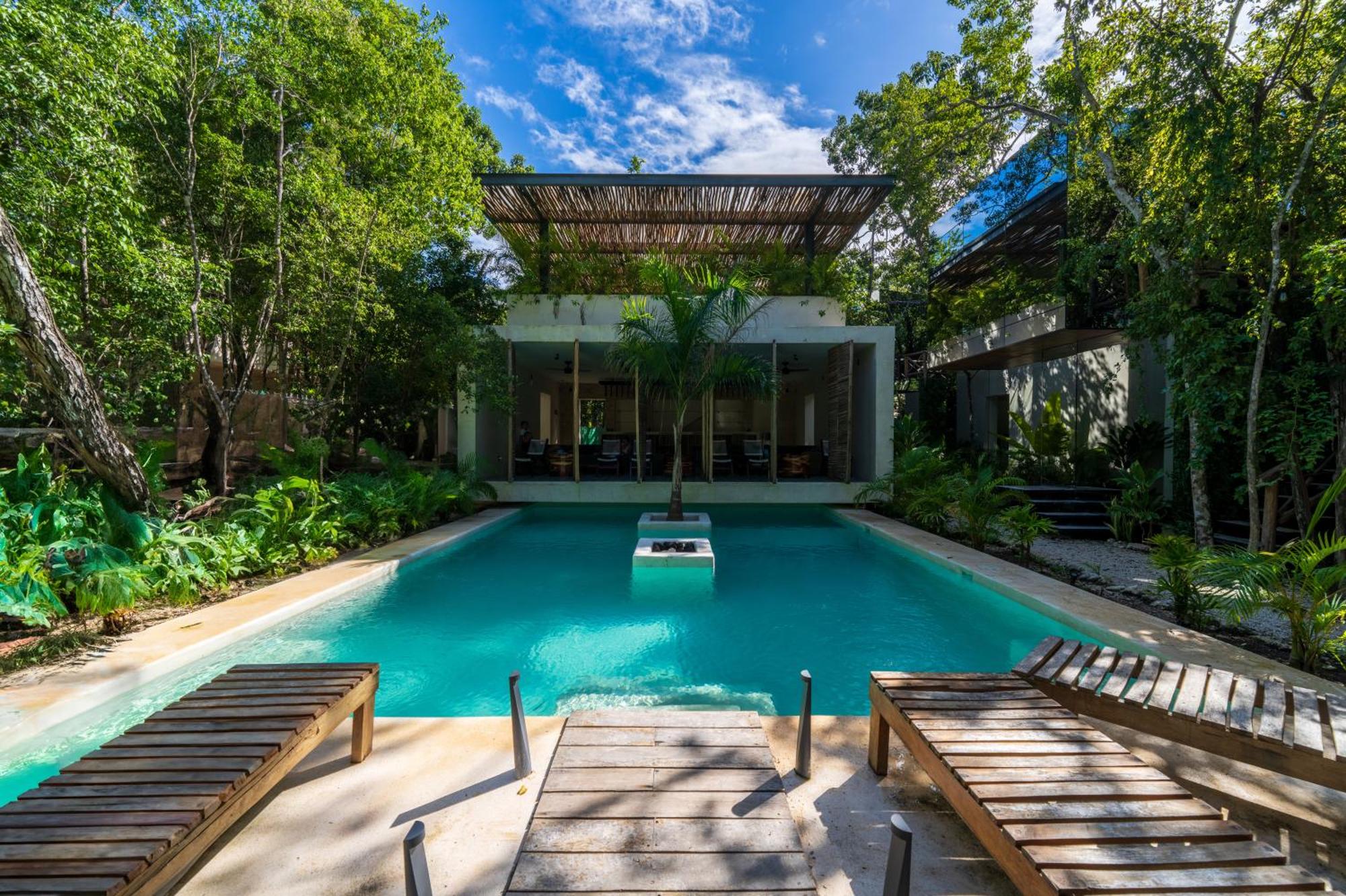 Chay Glass Jungle House, imagen 3