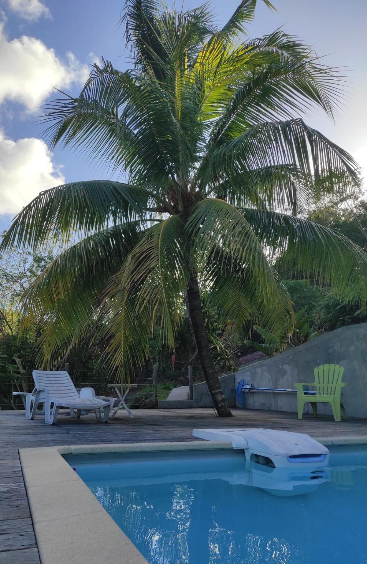 Superbe haut de villa avec grande piscine, foto 16