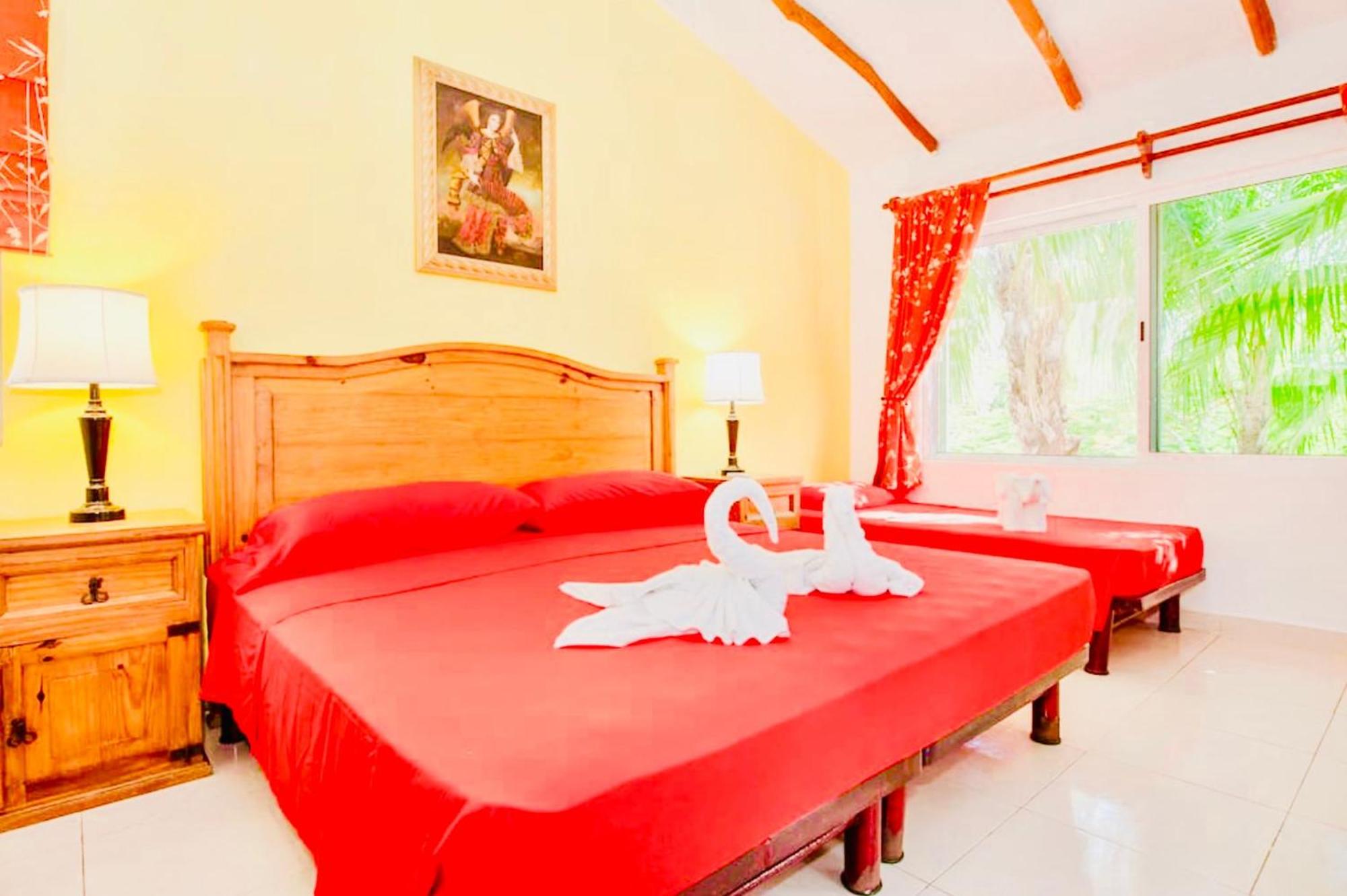 Playacar - Executive Budget Room With Swimming Pool Air Conditioning and Parking, imagen 3