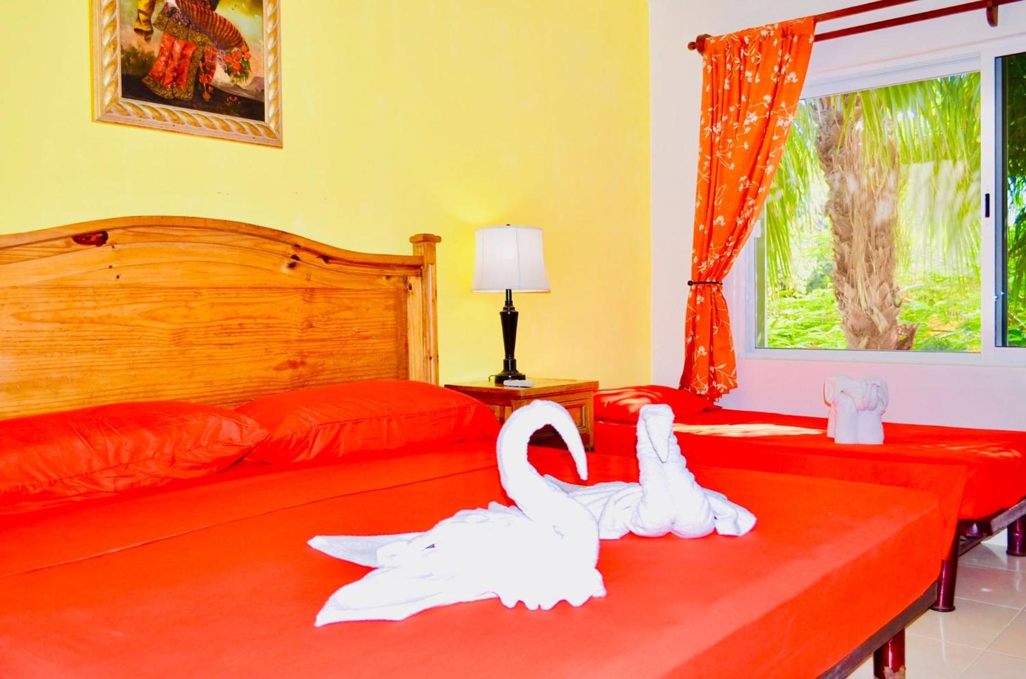 Playacar - Executive Budget Room With Swimming Pool Air Conditioning and Parking, foto 15