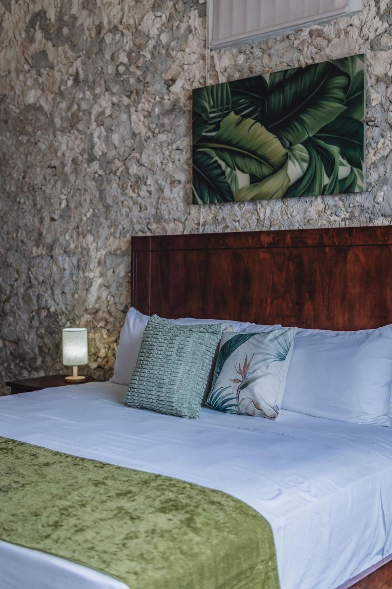 Casa Tropical, imagen 4