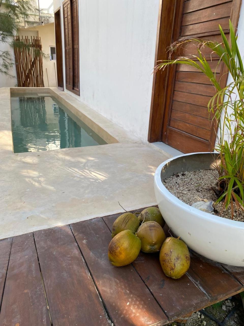 For Large group, UP TO 10 people Entire Space Rental 3 lodges with private pools, foto 9