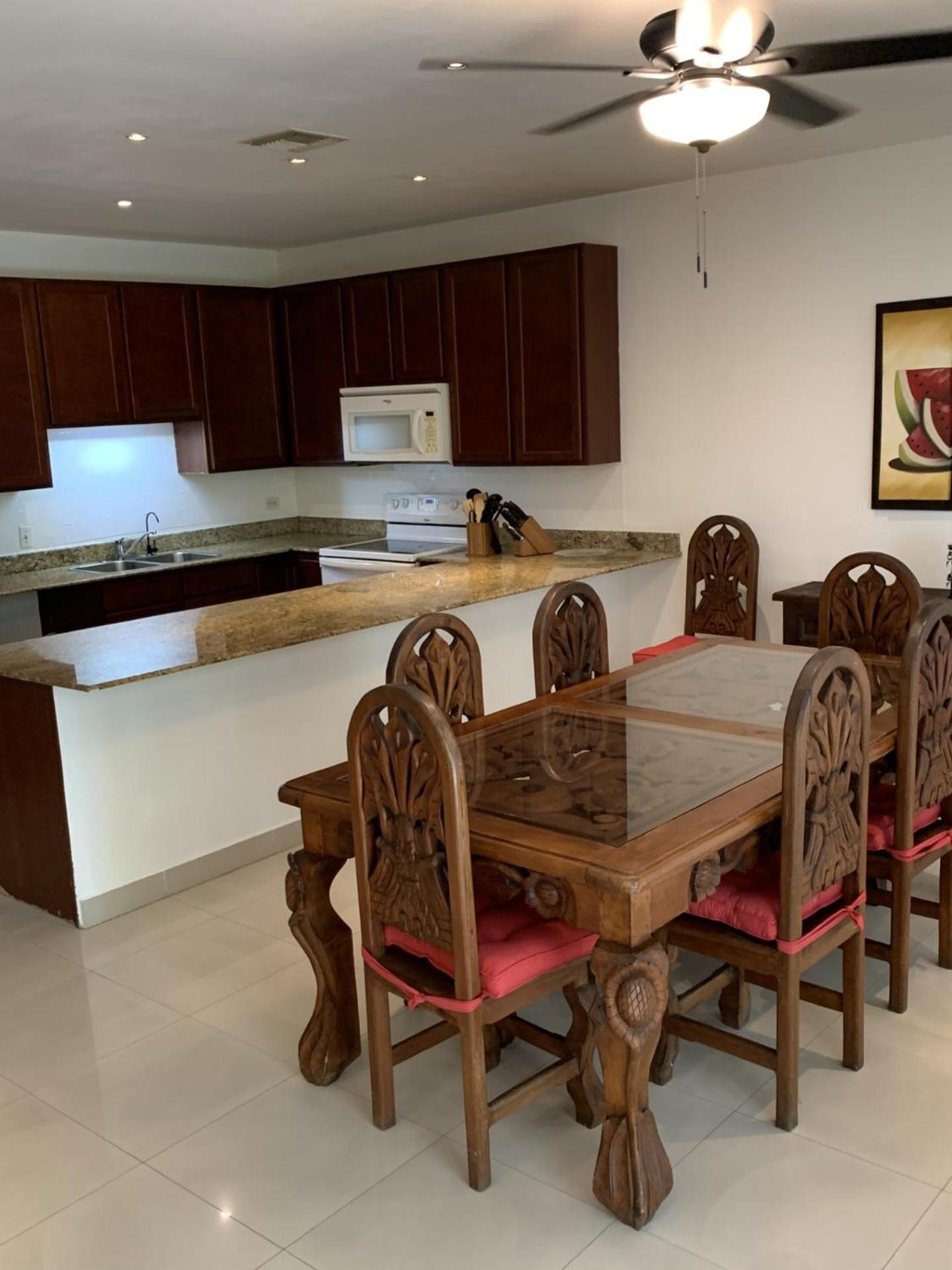Palmar Condominium 1C - Ocean front - Garden level, foto 9