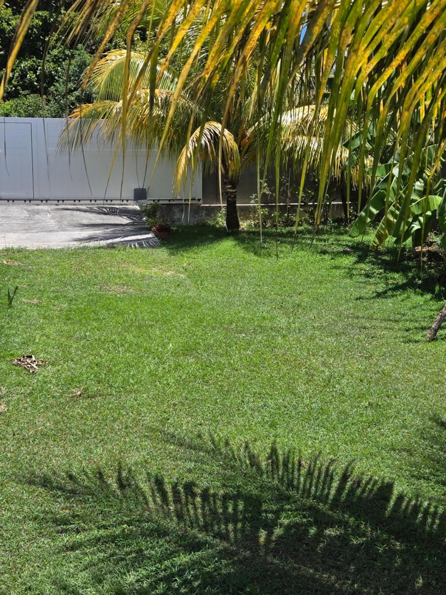 bungalow Bô Sicrié, foto 12