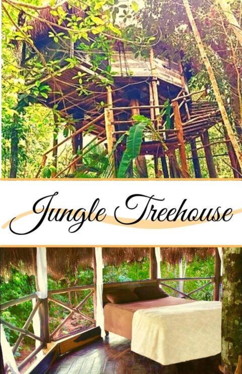 Exclusive Treehouse and Cenote - Sweet Jungle Dreams