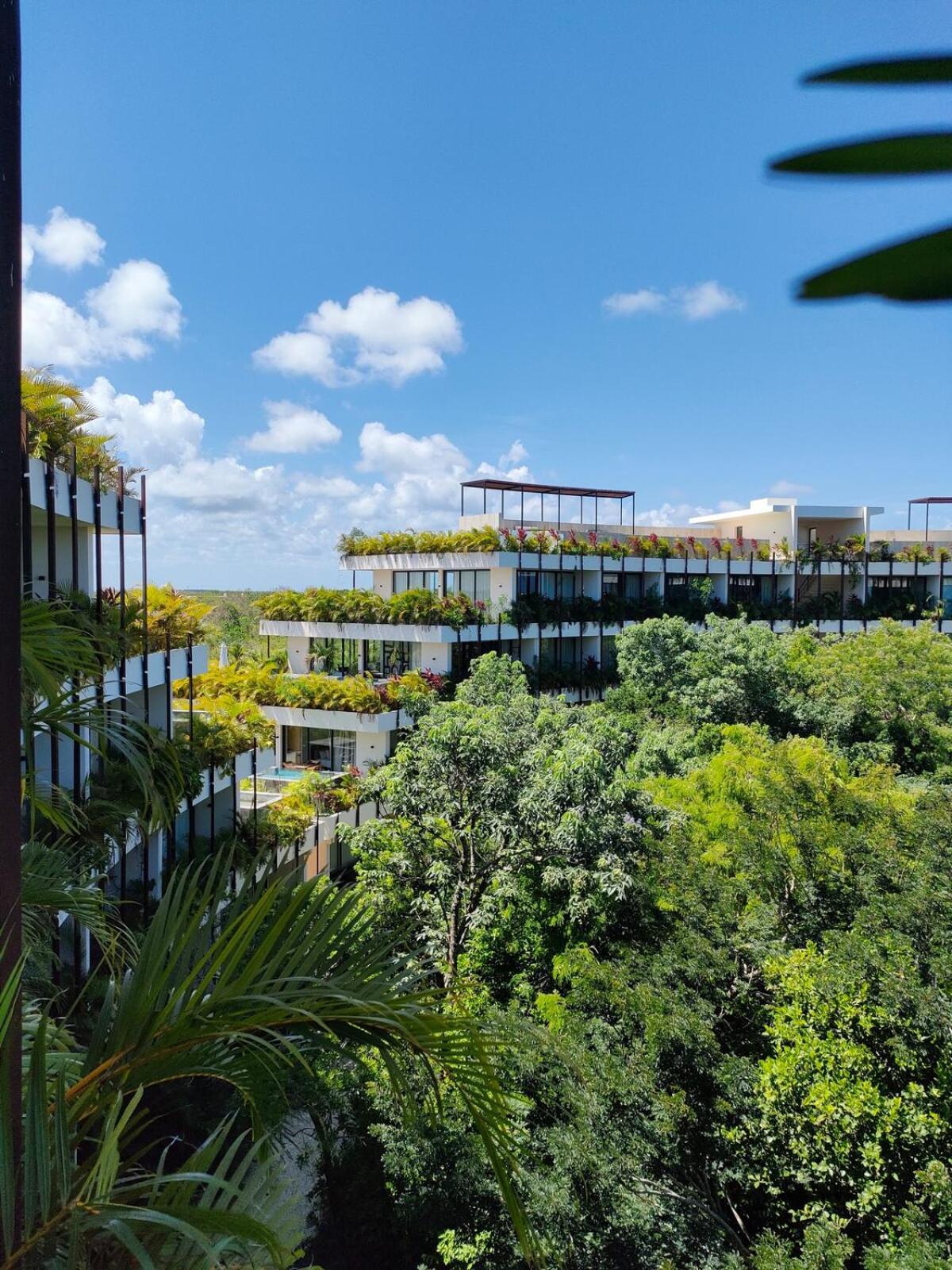 Discreet luxury between jungle and Caribbean Mistiq T 2, foto 11