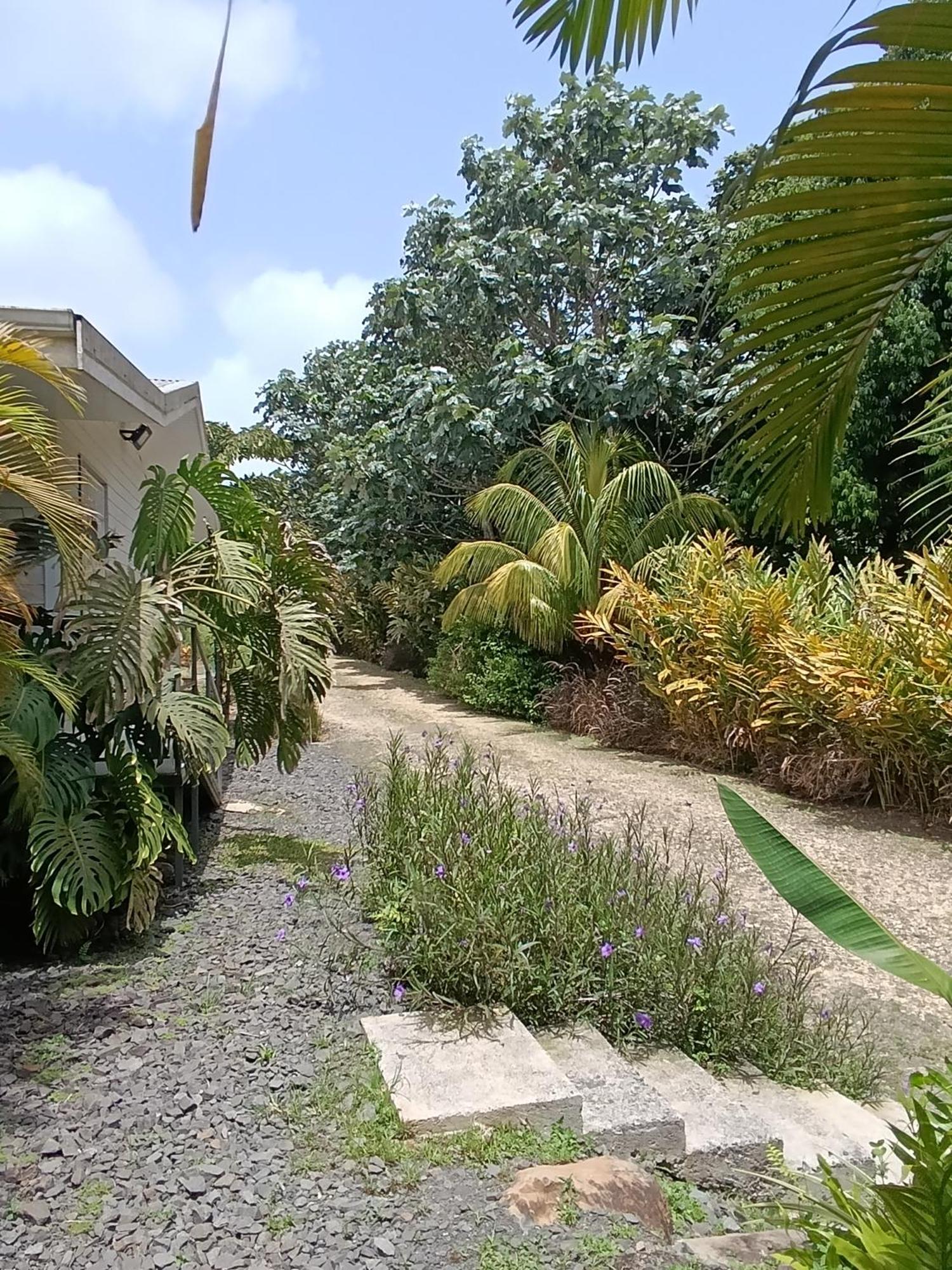 Dadi's Little Paradis, foto 11