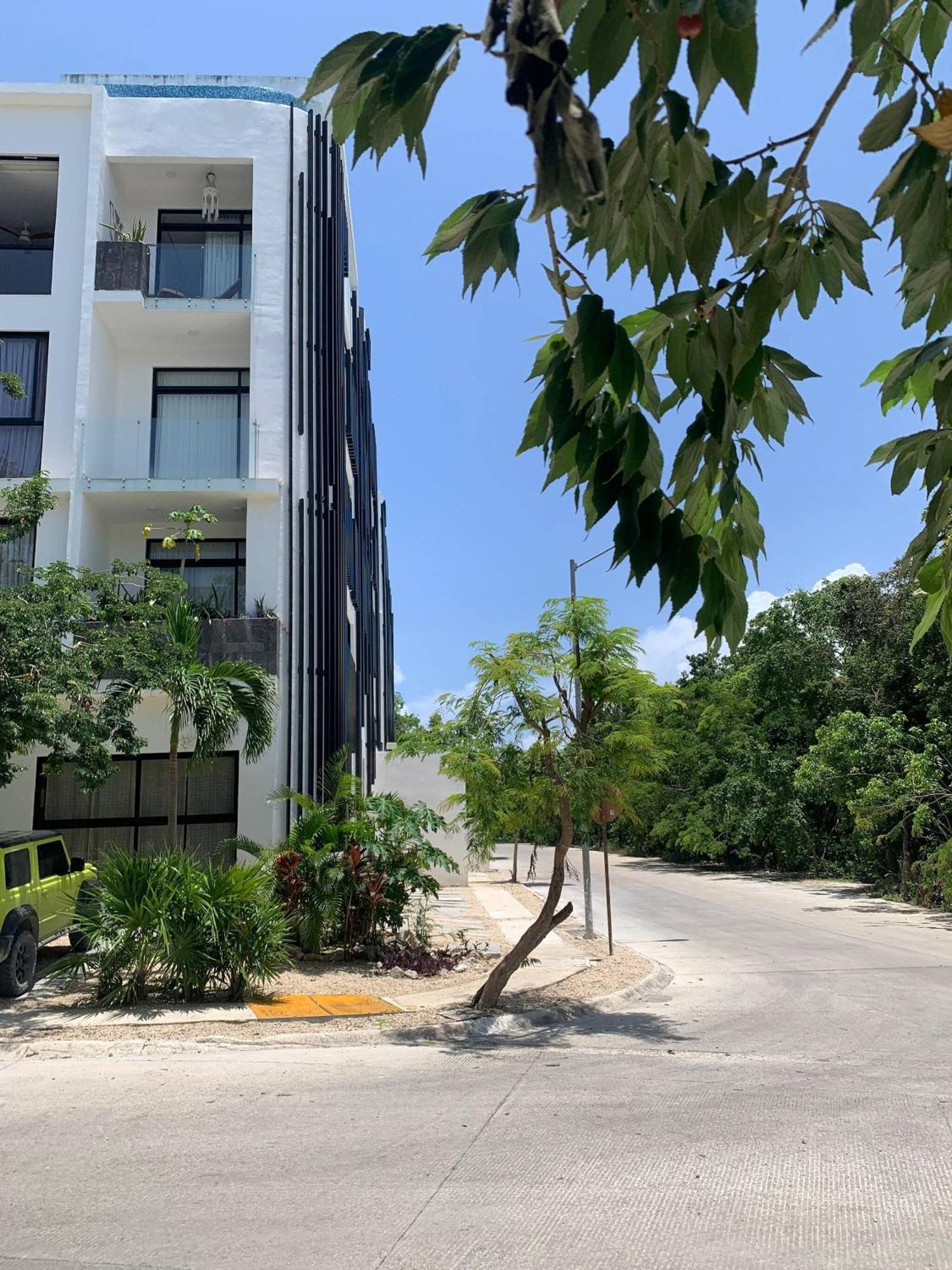 Perfect studio light and nature in Aldea Zama, foto 11