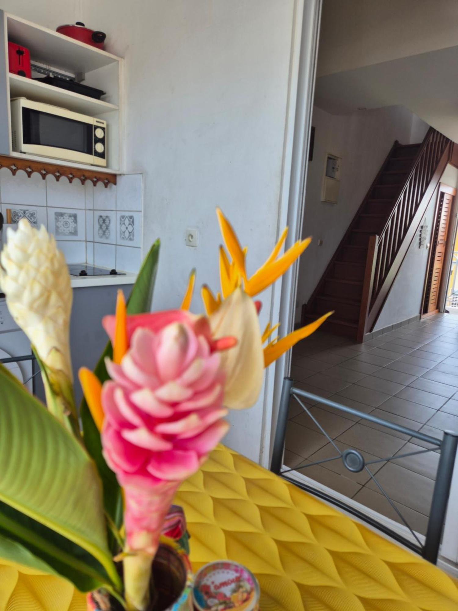 Appartement - Résidence Port Caraïbes - Marina 1 minute à pied
