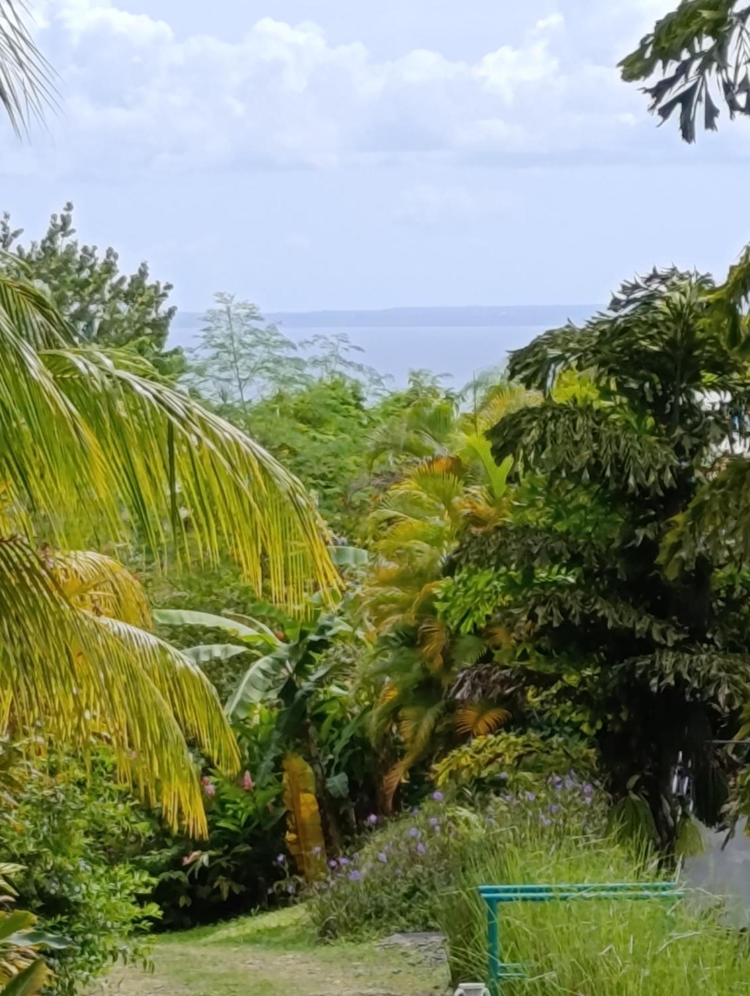 Dadi's Little Paradis, foto 6