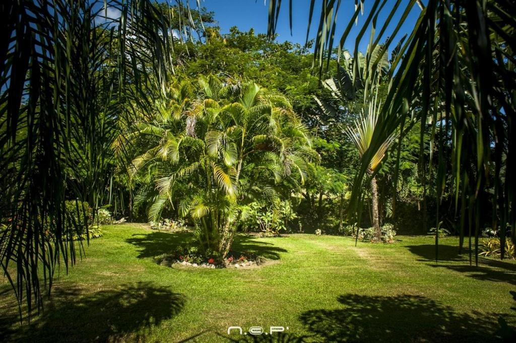 Villa Colibri avec piscine privée, foto 8