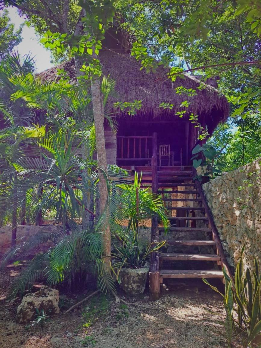 Casa Mango