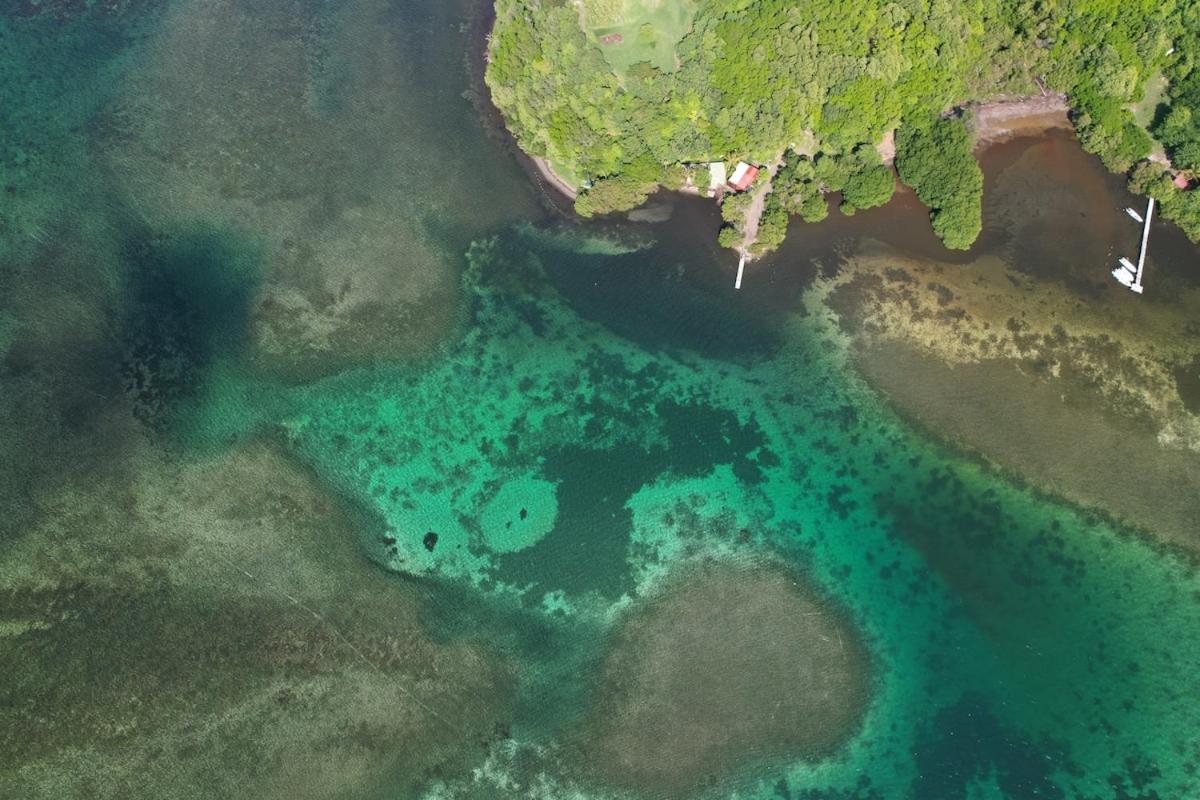 Bungalow vue sur mer avec jacuzzi en pleine nature, foto 7