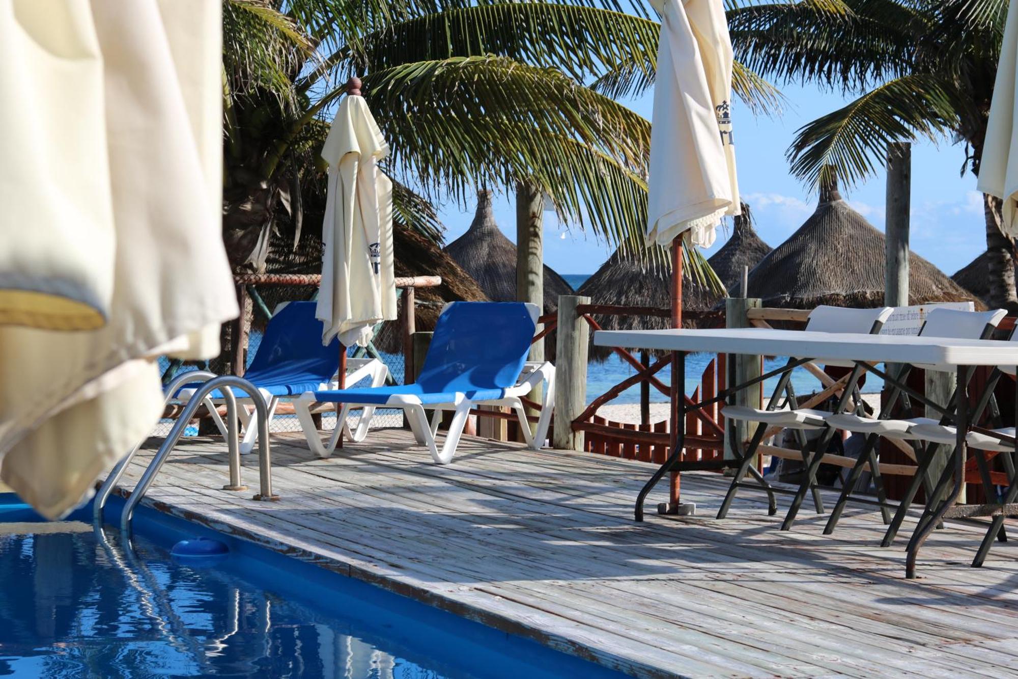 The Diving Lodge Downtown, imagen 4