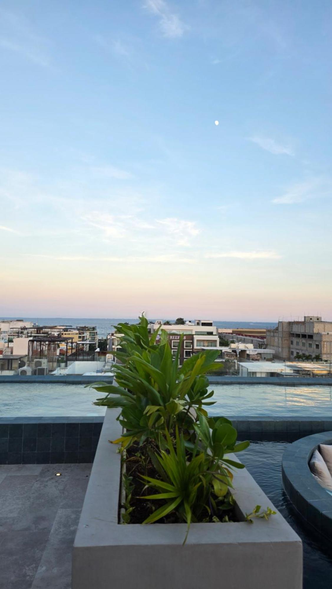 Luxury condo whit ocean view in Altra Beach, imagen 4