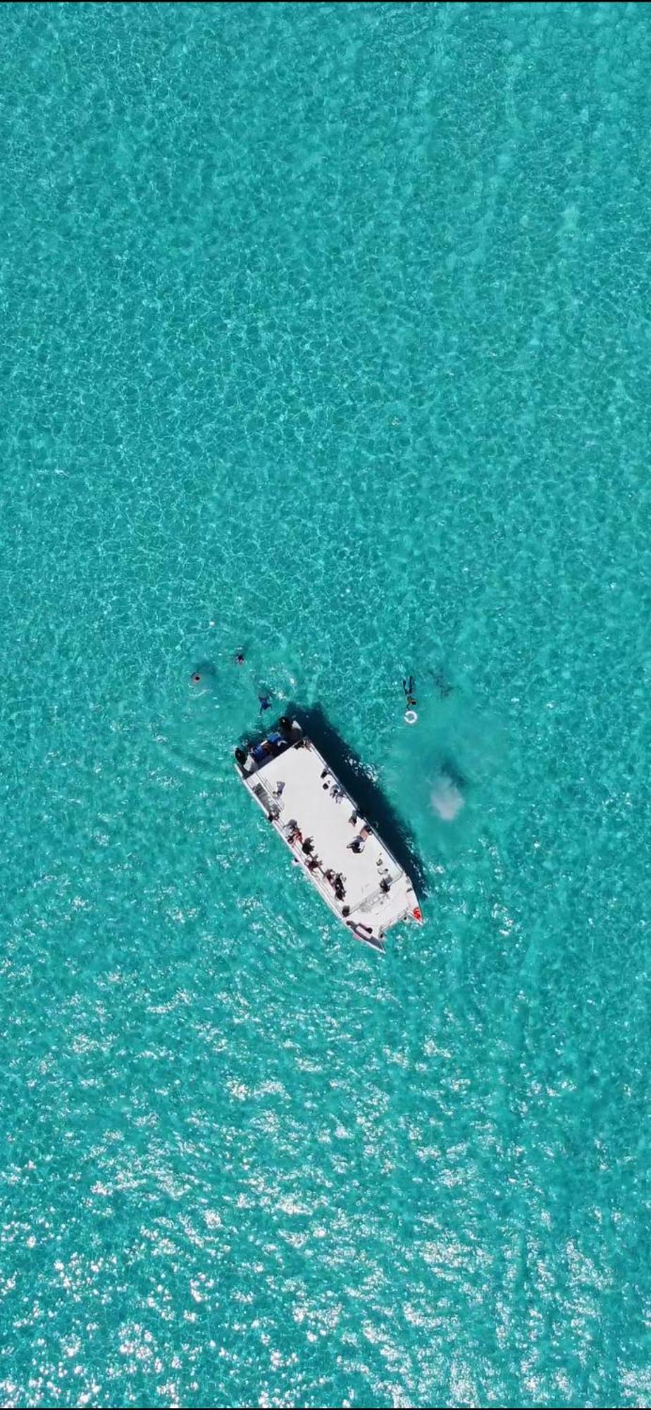 Catamaran Fragata Cancun, imagen 2