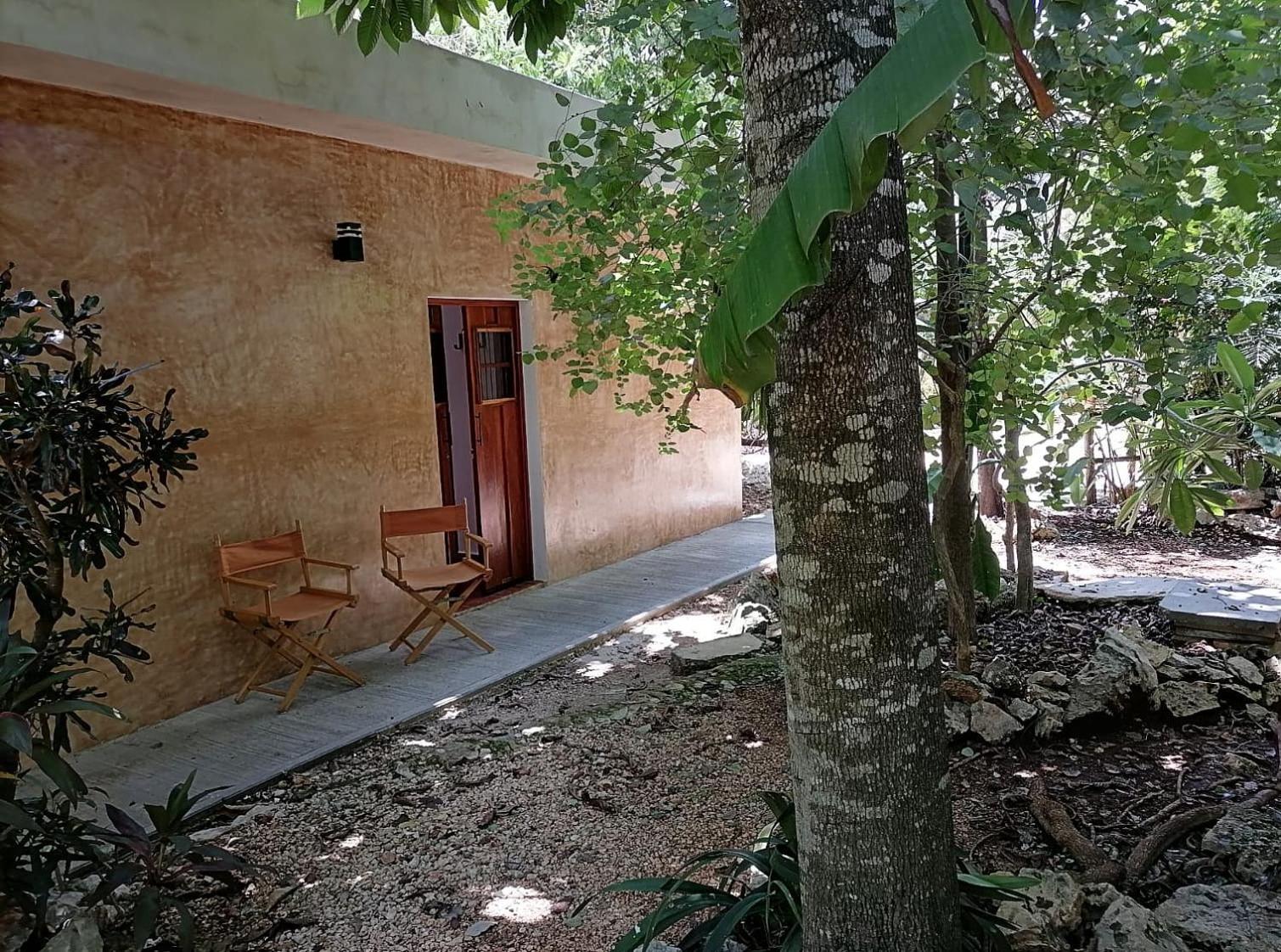 La Casita del Museo, foto 6