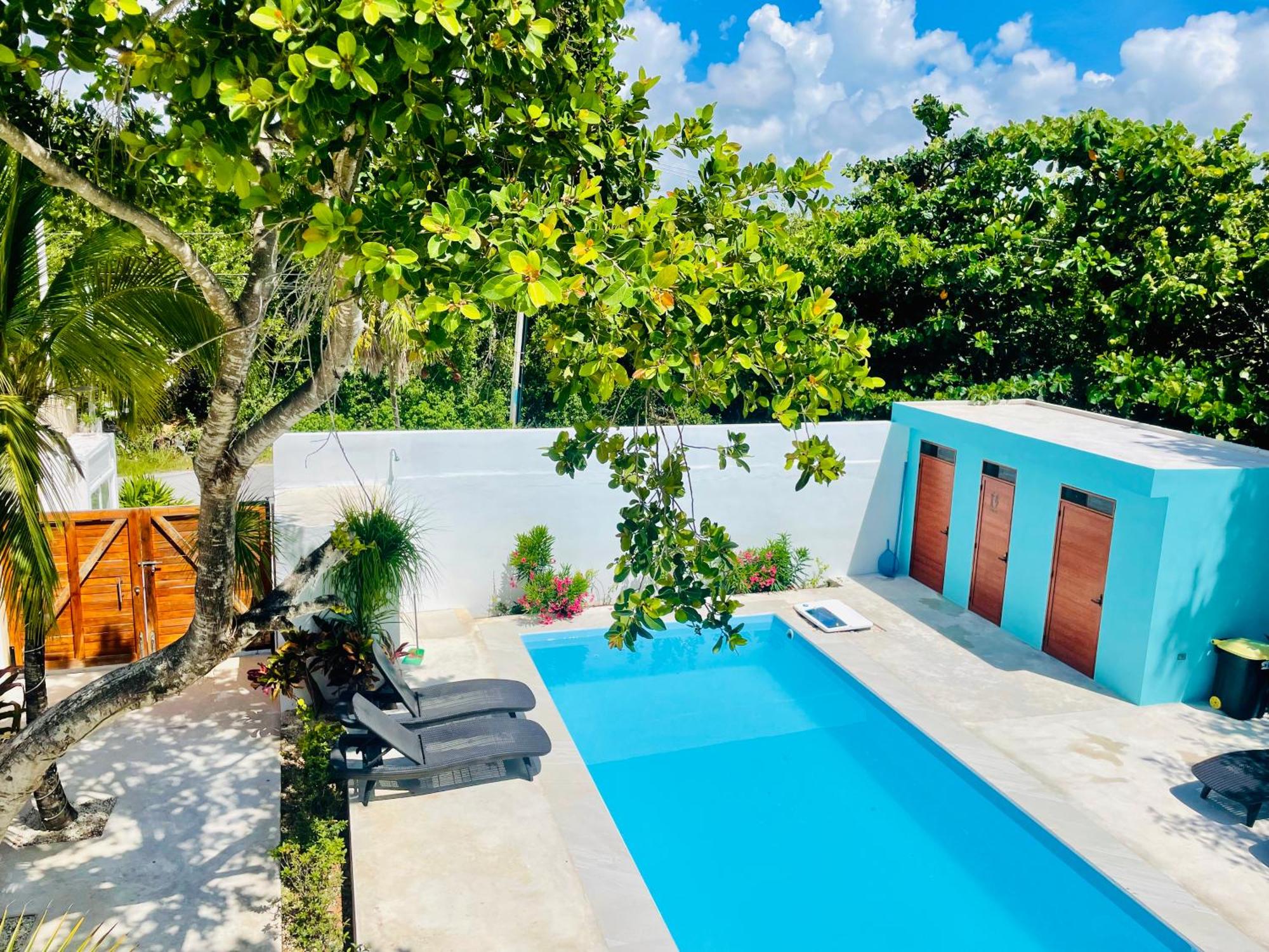 Aqua Guesthouse, imagen 2