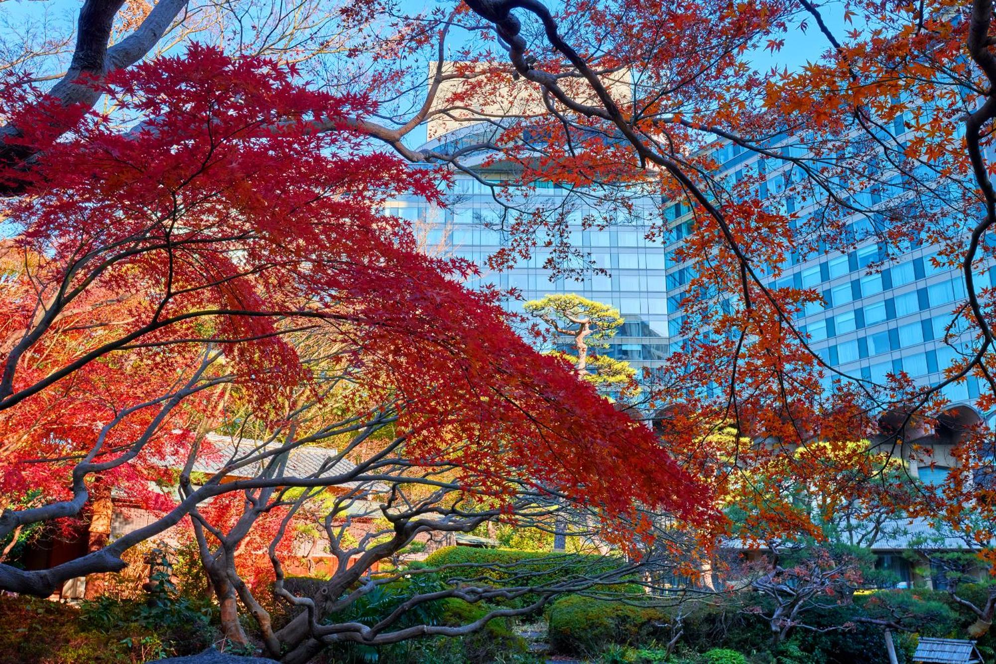 Hotel New Otani Tokyo Garden Tower