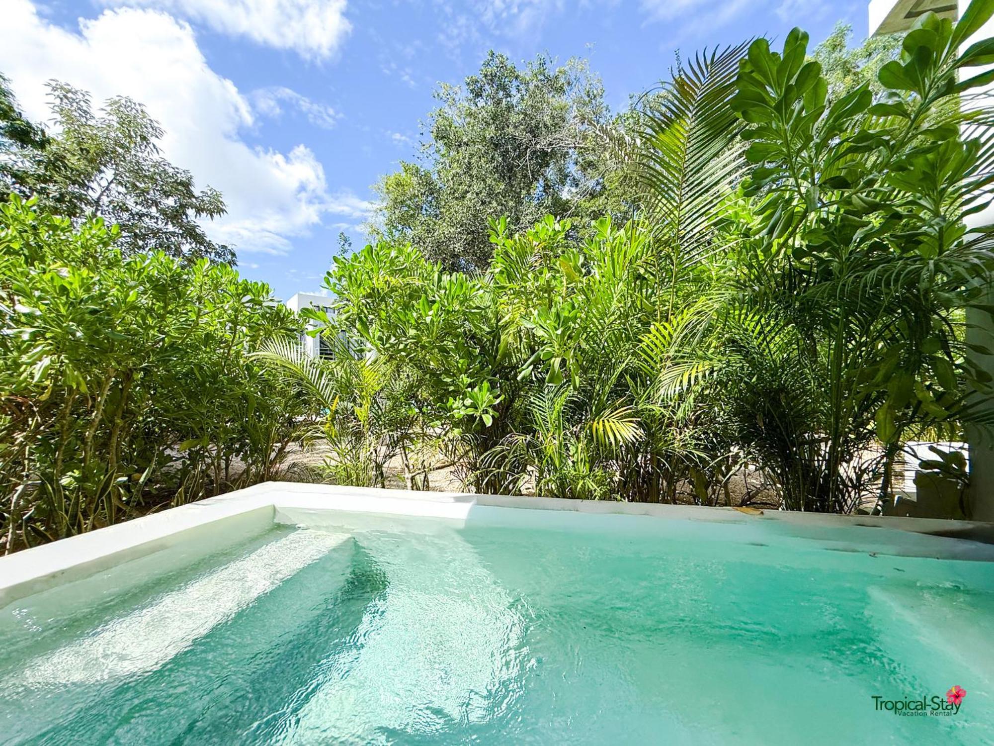 Jungle Suite Private Pool King Bed Wifi 305, imagen 3