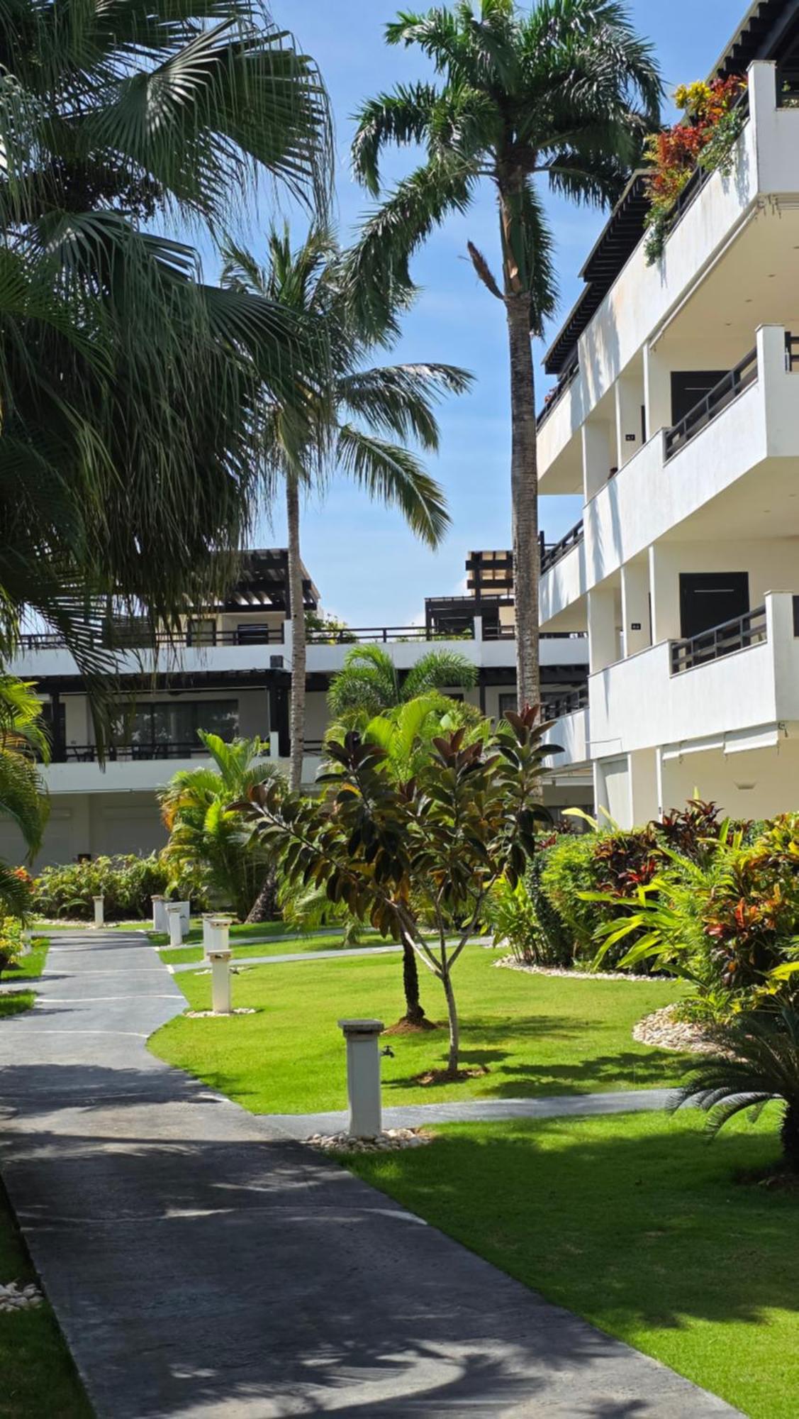Aligio - A Quiet Retreat in Paradise - 2 BR, 2 pools, WiFi, AC, Private Hot Tub, foto 15