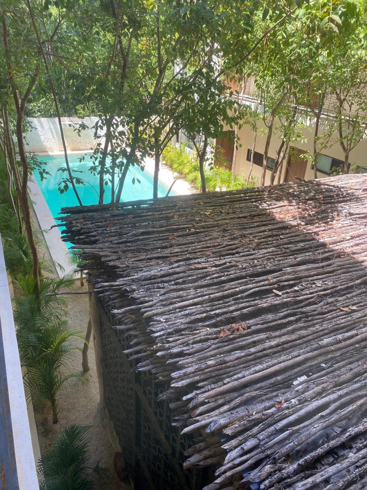 Great 3 bedroom apartment and private pool, foto 13