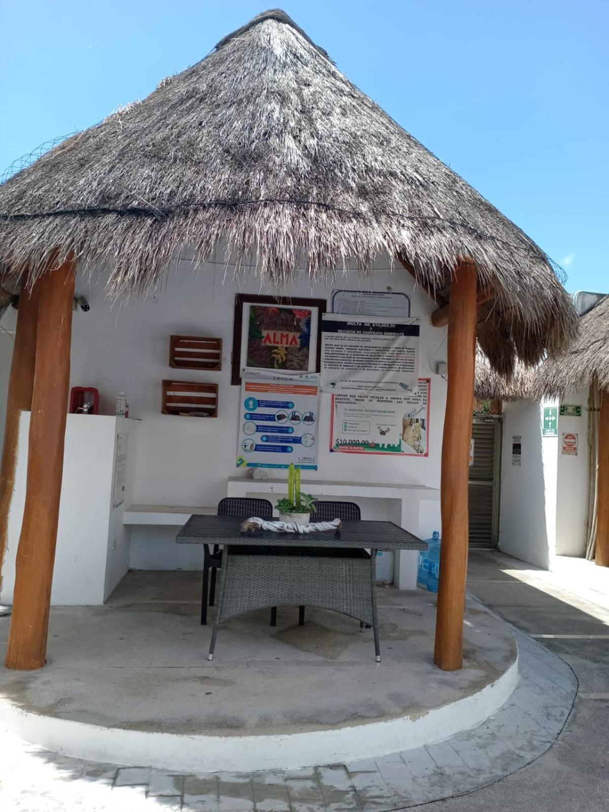 Deptos Alma, foto 7