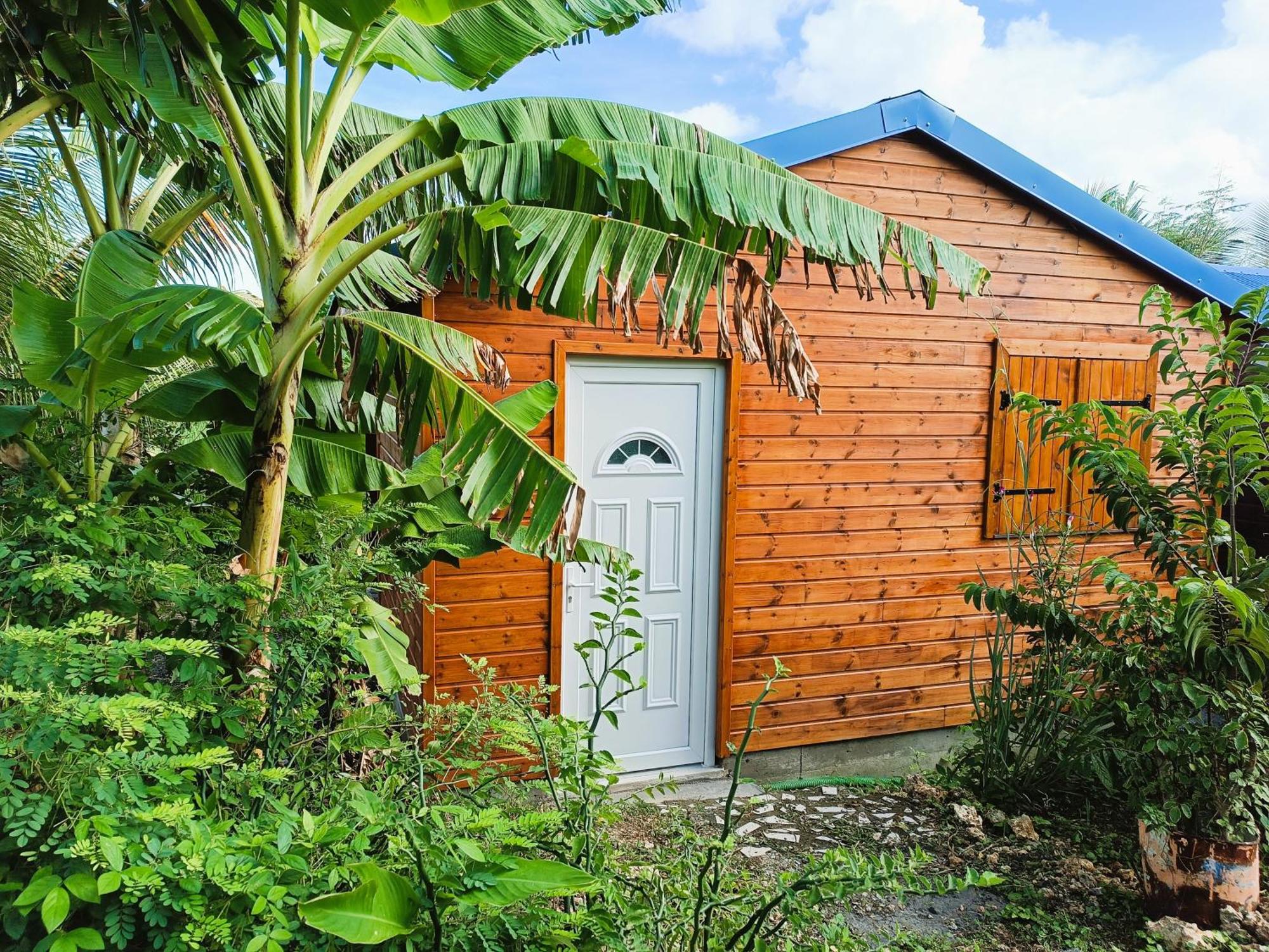 Gites kaz à klemence - Bungalow karapat - jacuzzi privé et piscine partagée au cœur de la nature à Anse-Bertrand, foto 14