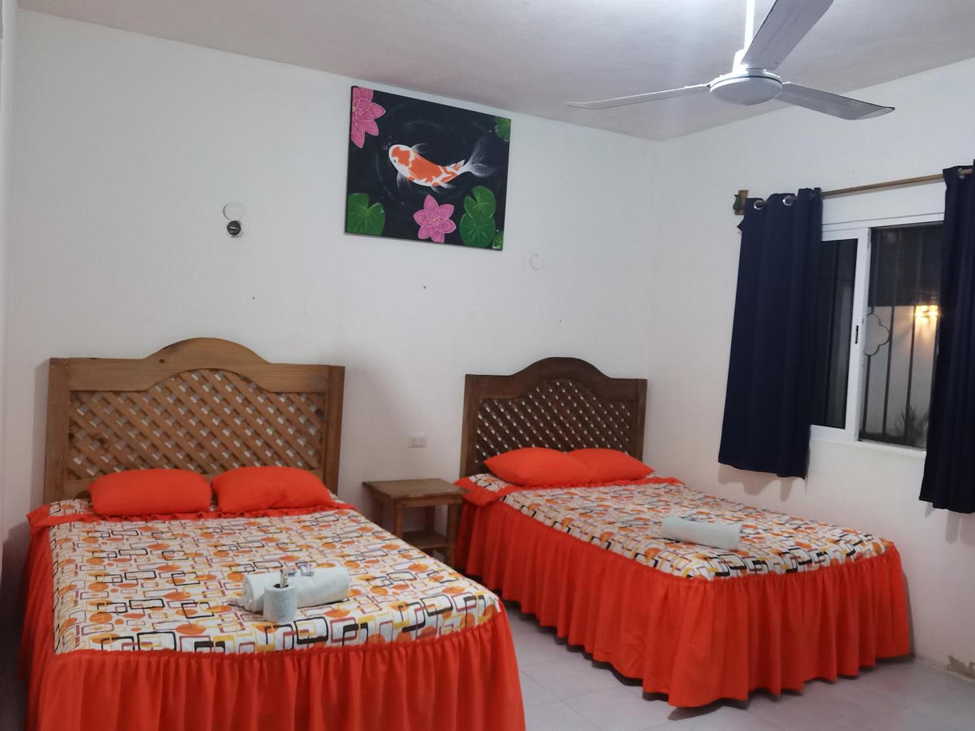 Blue Hotel, foto 13