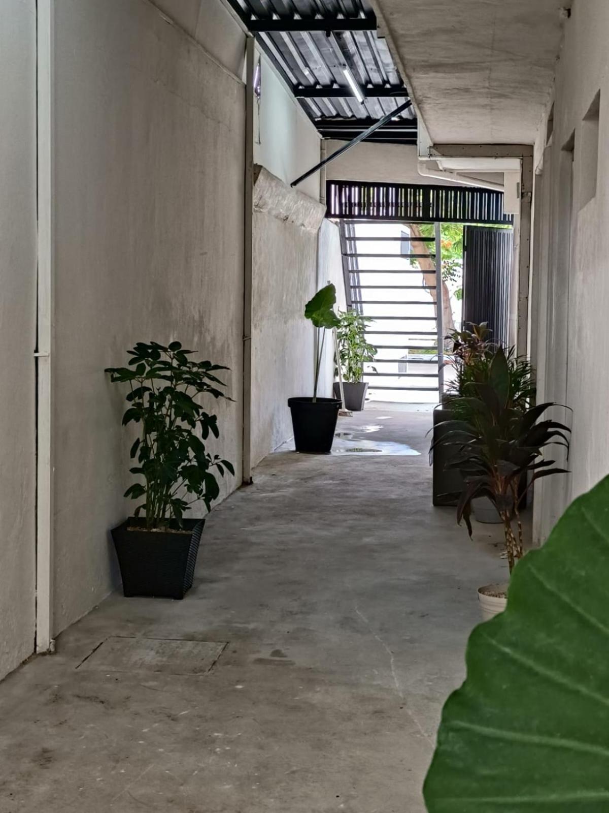 Deptos Modernos Colonia México, foto 6