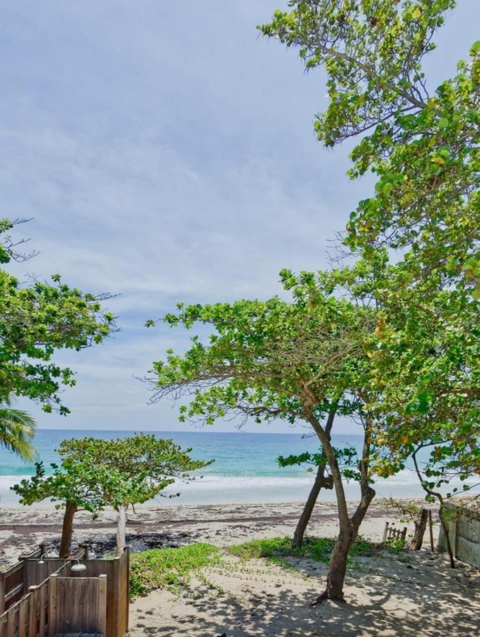 Eclat bleu soleil- appartement sur la plage, imagen 2
