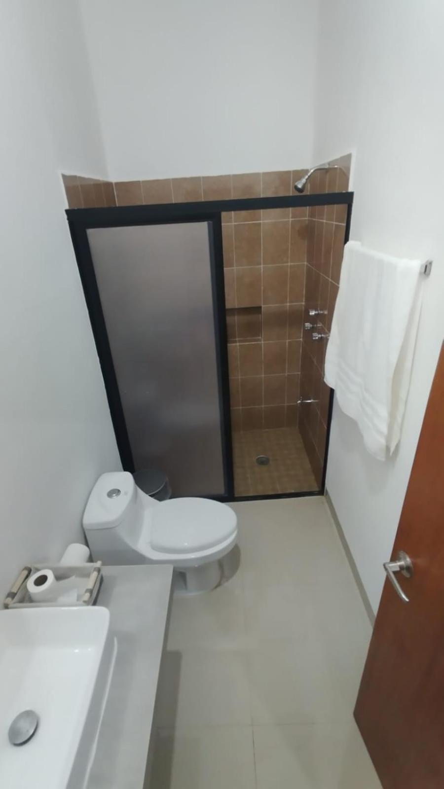 Casa Mango, imagen 2