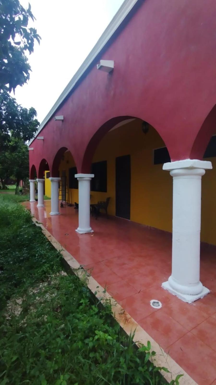 Casa Mango, imagen 3