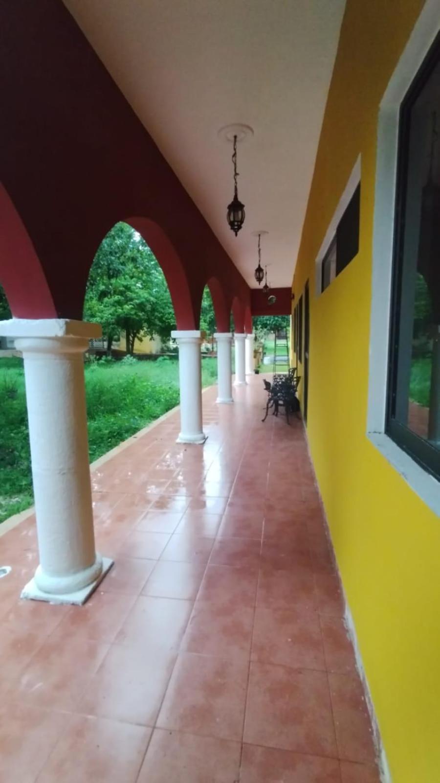 Casa Mango, foto 14