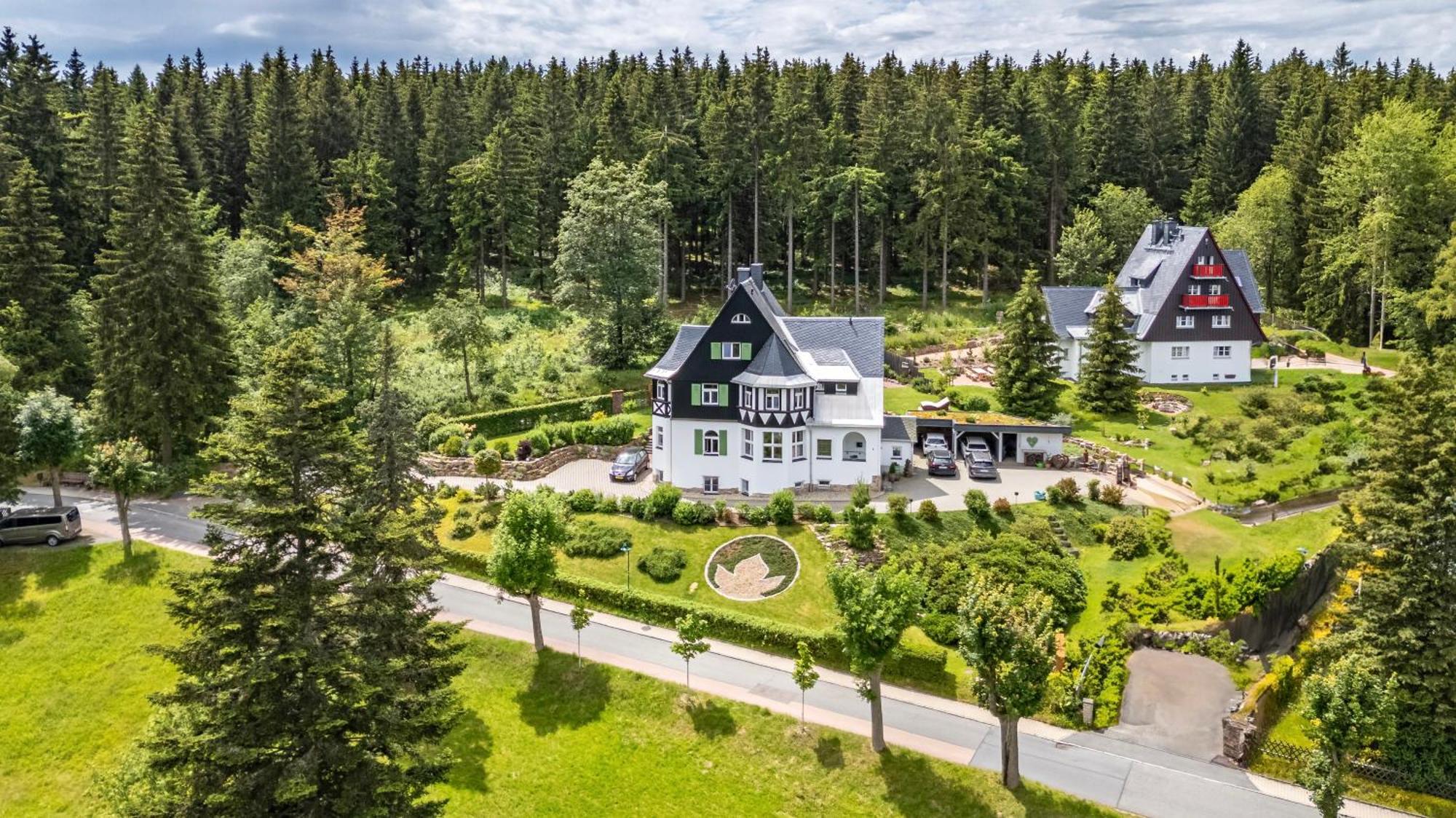 Ahornallee - Erzgebirge