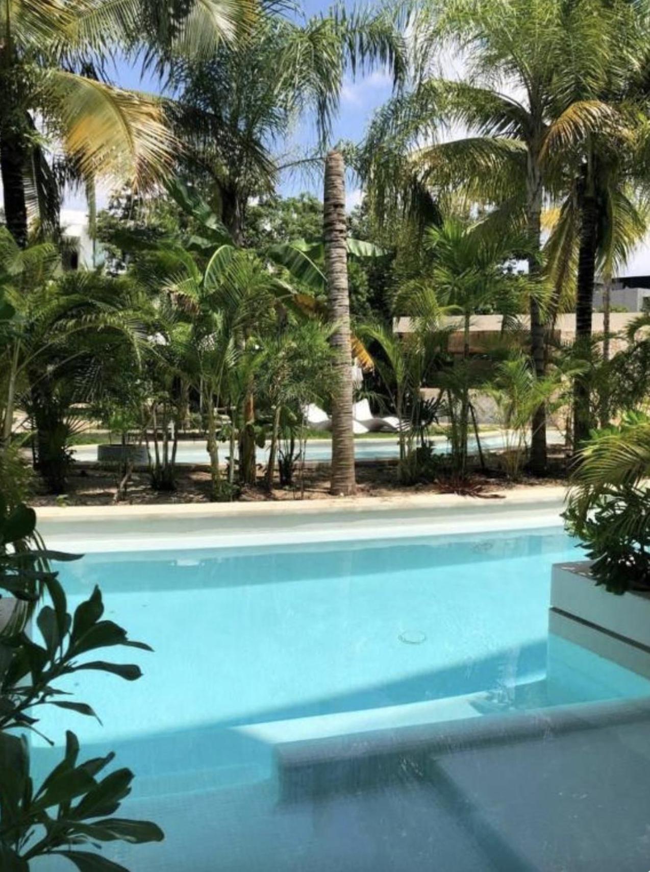 Luxury Studio SwimUp With Pool la Veleta Tulum, imagen 5