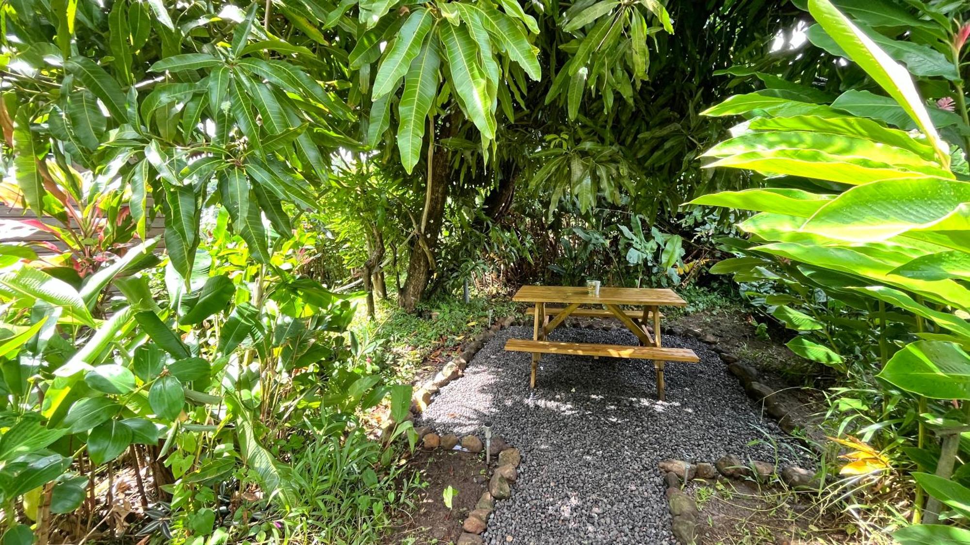 Chalet de Dolé, imagen 4