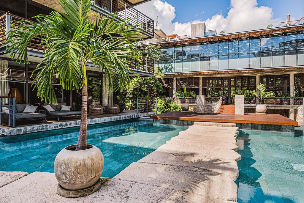 1BR Swim up Loft with Private Cenote Rooftop Pool, foto 11