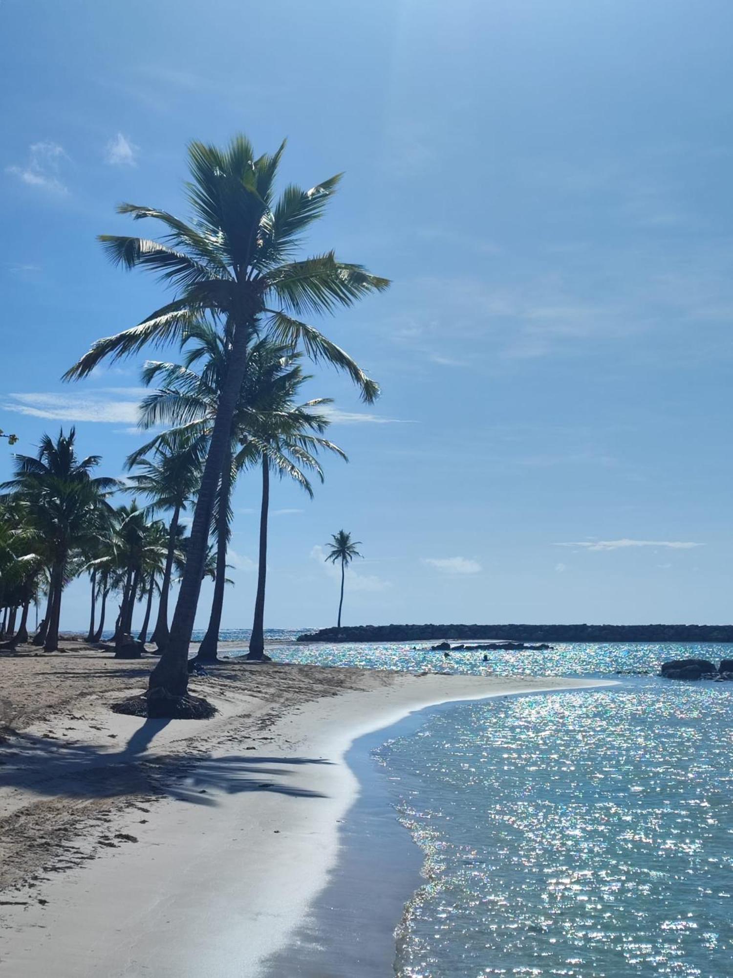 Azur Caraibe