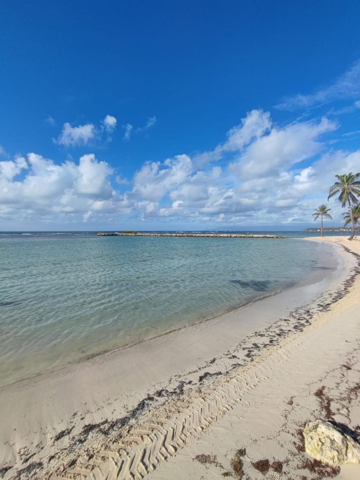 Ambre des iles